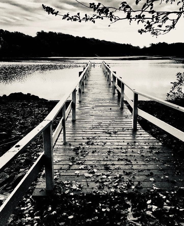 Leaf-covered dock extends over calm water