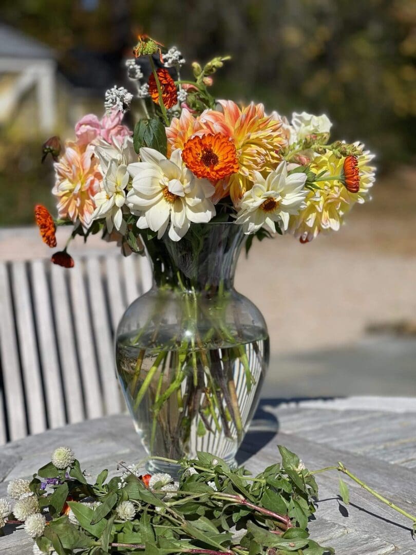 Fresh garden flowers in sunlight