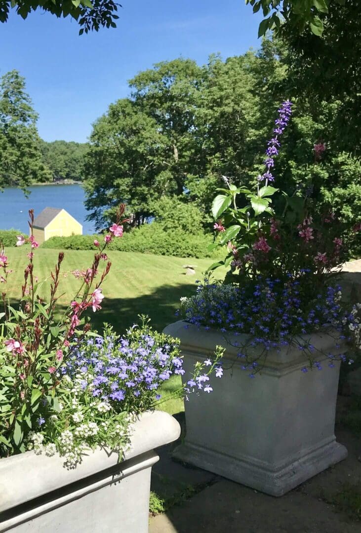 Garden with flowers overlooking lake and trees.