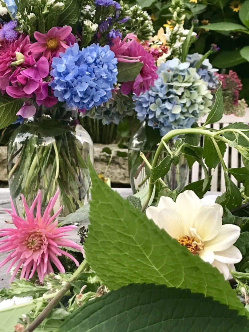 Colorful flowers in vases on table.