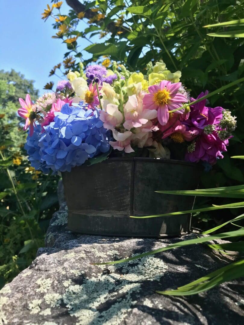 Colorful flowers in a metal pot outdoors.