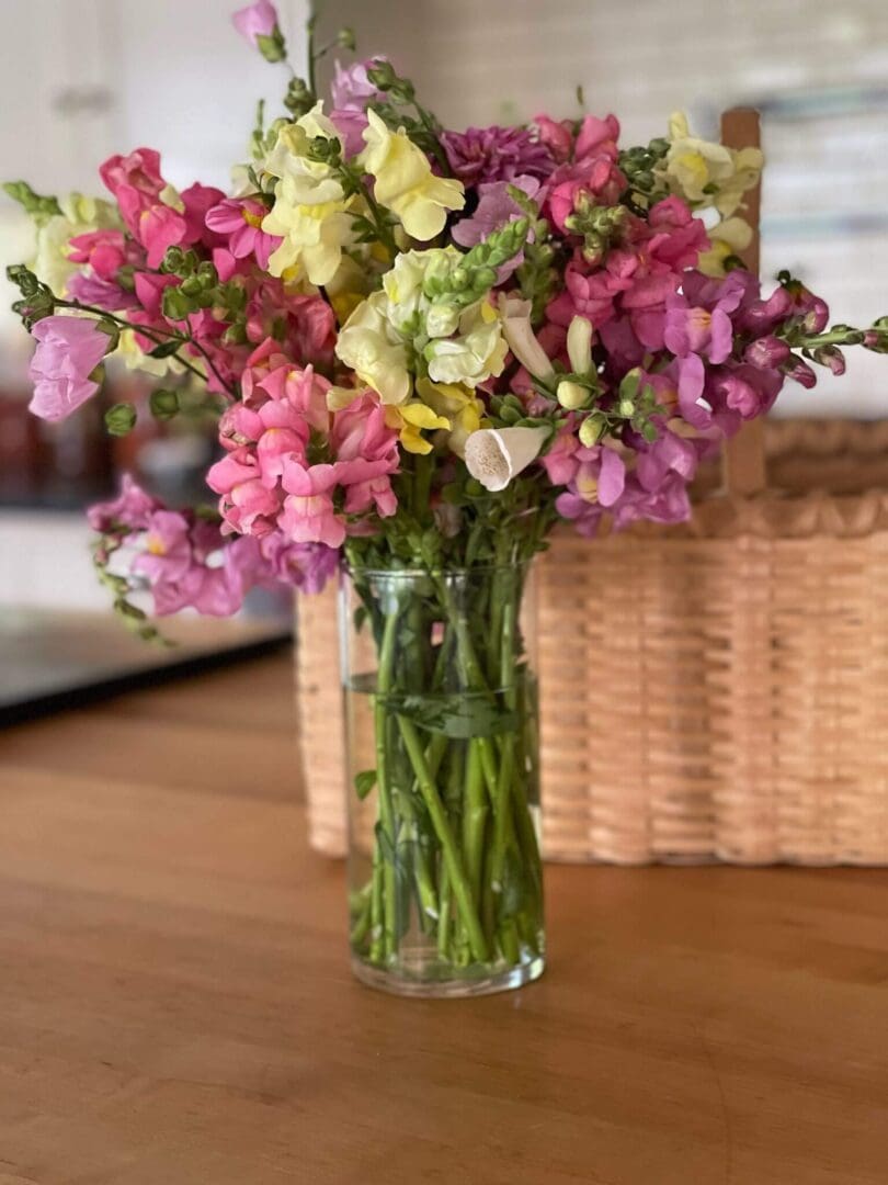 Vibrant snapdragons in a glass vase.